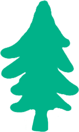 20,104 Trees Planted