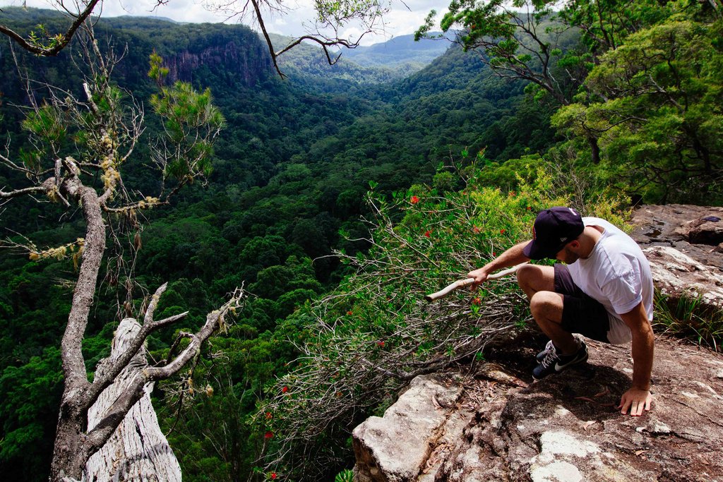 Walkabout 3 - Fern Gully